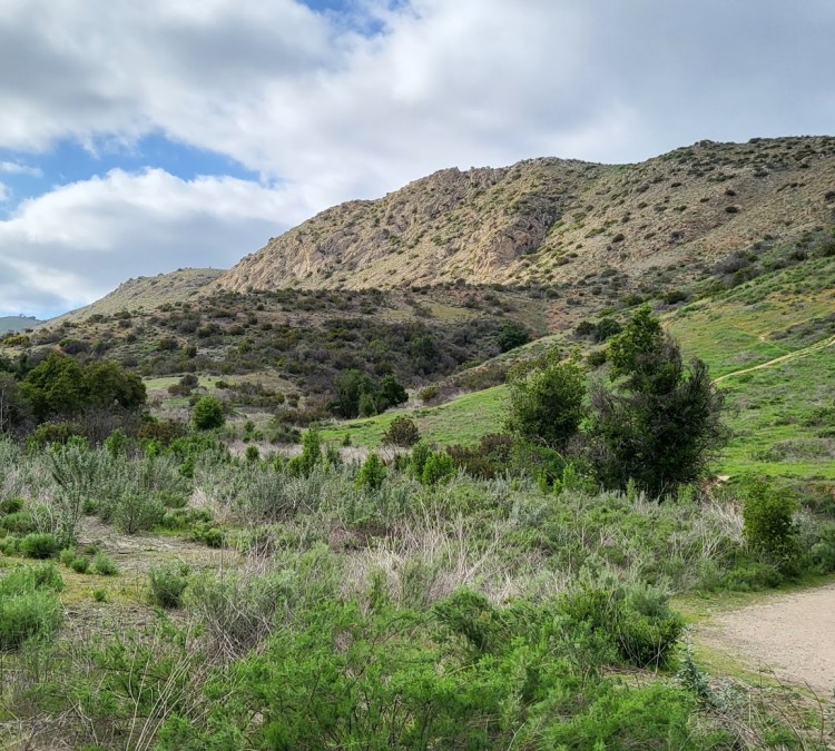 bell-canyon-park-photo